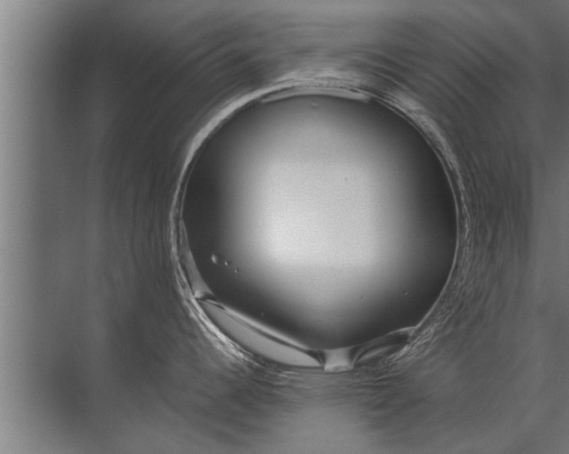 X0000072521344200607290148