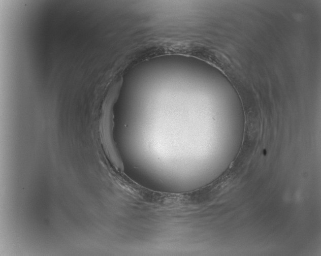 X0000072521345200607290148