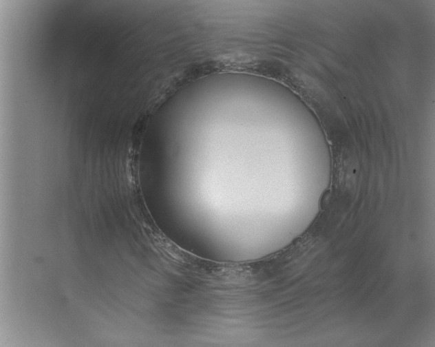 X0000072521346200607290148