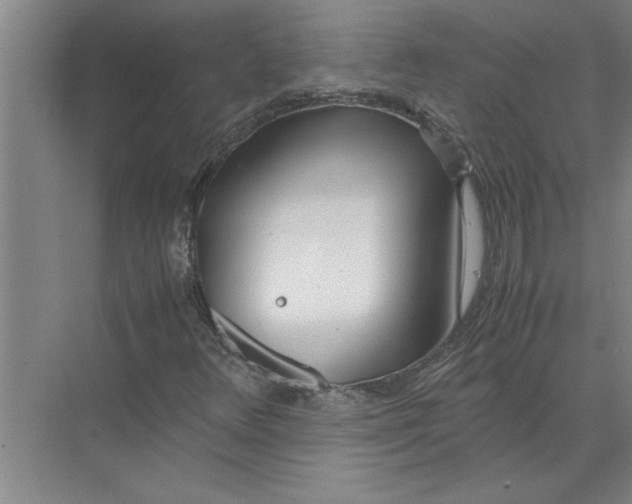 X0000072521348200607290148