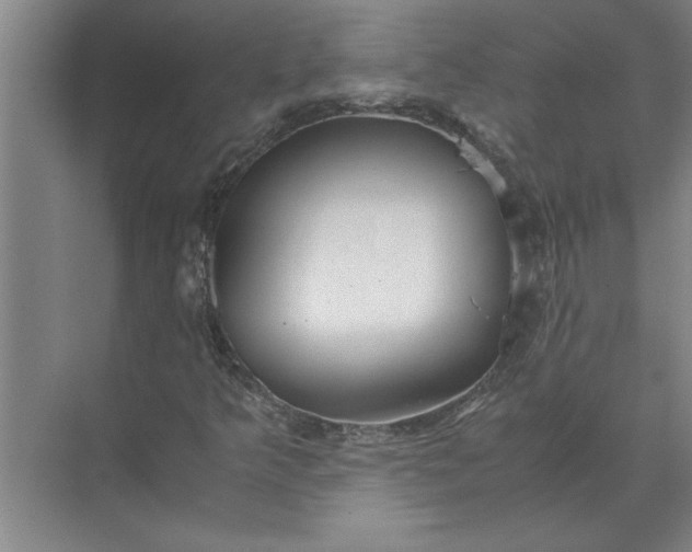 X0000072521349200607290147