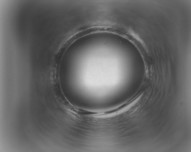 X0000072521352200607290147