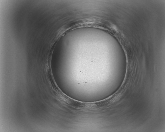 X0000072521353200607290147