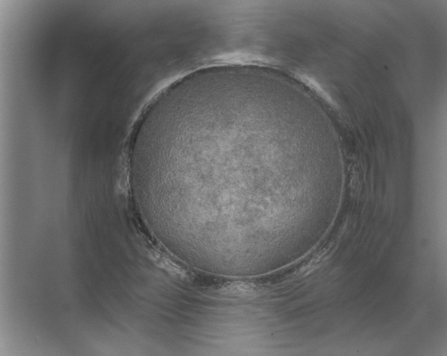 X0000072521358200607290147