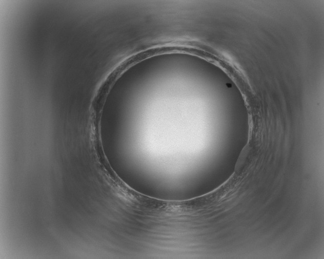 X0000072521360200607290147