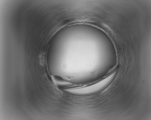 X0000072521361200607290147