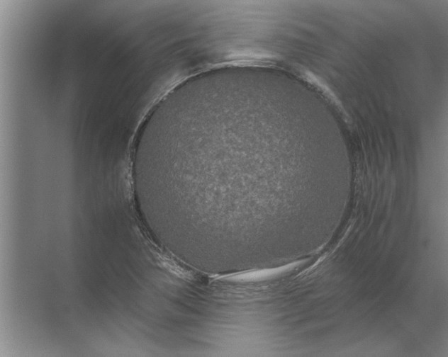 X0000072521362200607290147