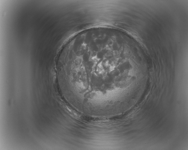 X0000072521363200607290147