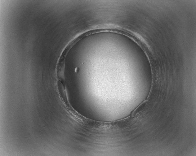 X0000072521364200607290147