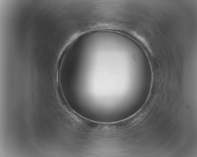 X0000072521365200607290147