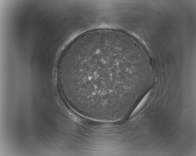 X0000072521367200607290147