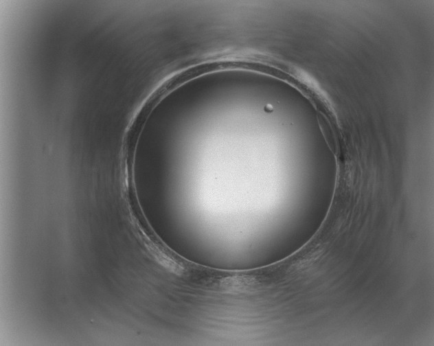 X0000072521368200607290147