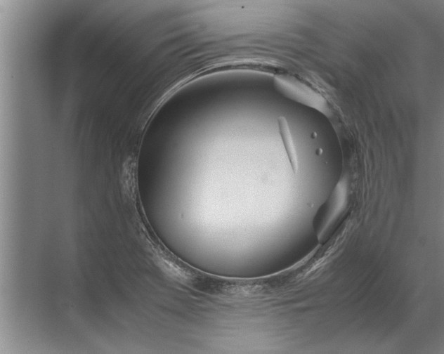 X0000072521369200607290147