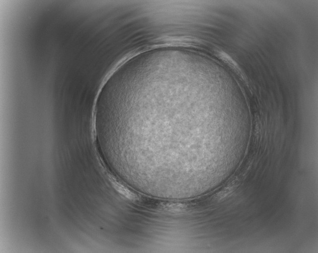 X0000072521370200607290147