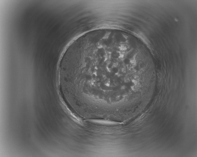 X0000072521371200607290147