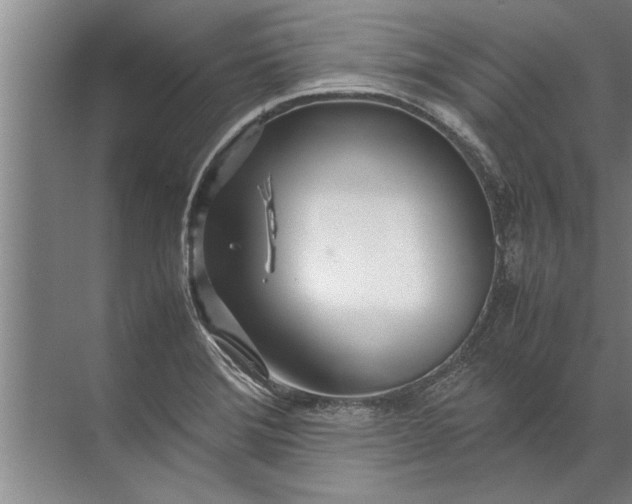 X0000072521372200607290147