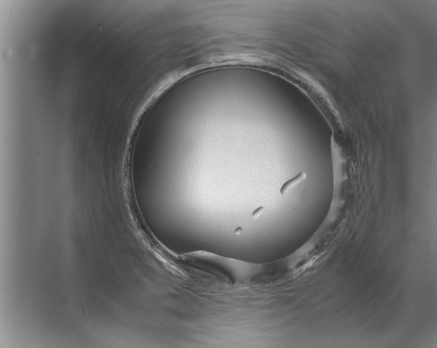 X0000072521373200607290147