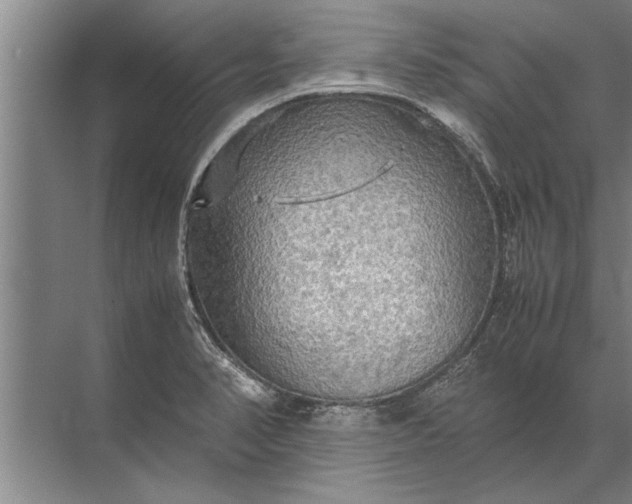 X0000072521374200607290147