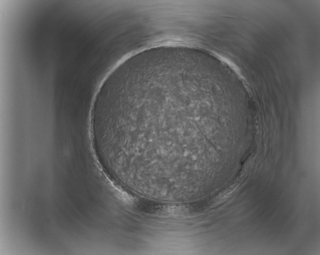 X0000072521375200607290147