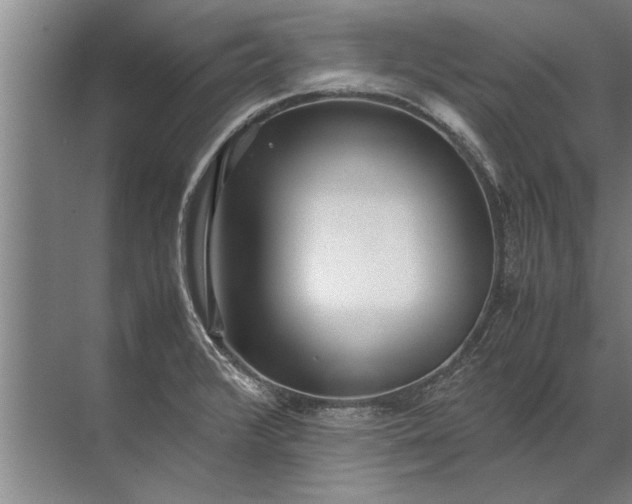 X0000072521376200607290147