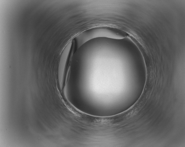 X0000072521377200607290147