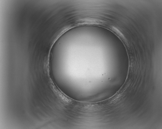 X0000072521378200607290147