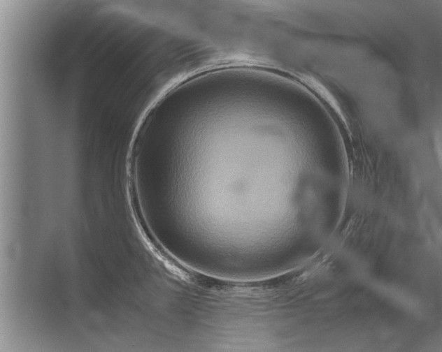 X0000072521381200607290147