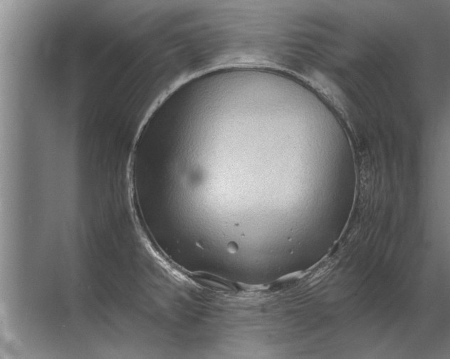 X0000072521382200607290147