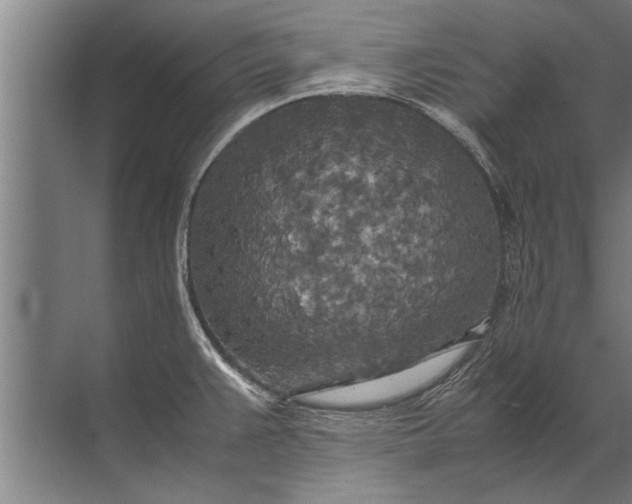 X0000072521383200607290147