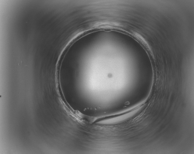 X0000072521384200607290147