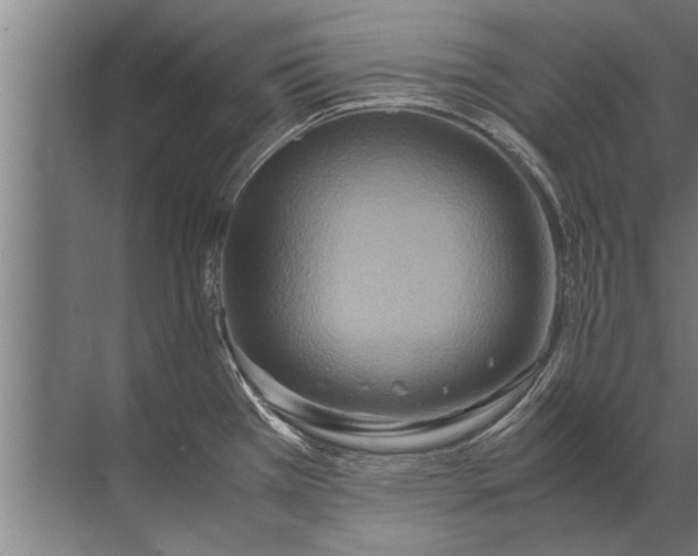 X0000072521385200607290147