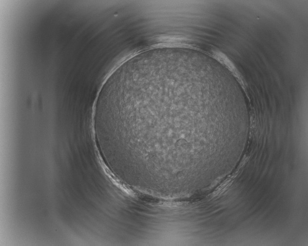 X0000072521386200607290147