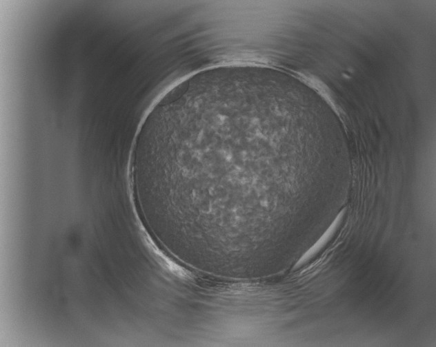 X0000072521387200607290147