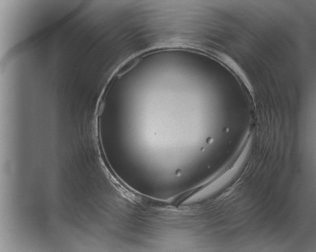 X0000072521388200607290147