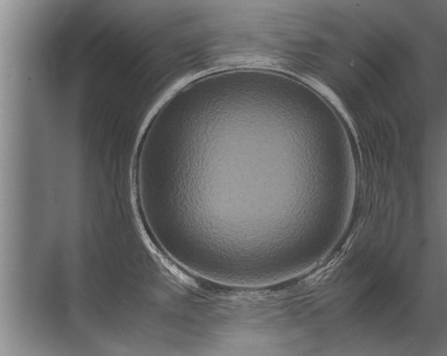 X0000072521389200607290147