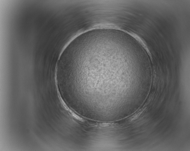 X0000072521390200607290147