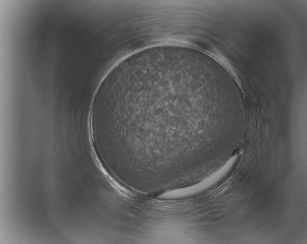 X0000072521391200607290147