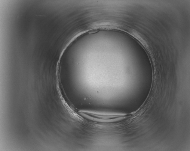 X0000072521392200607290147