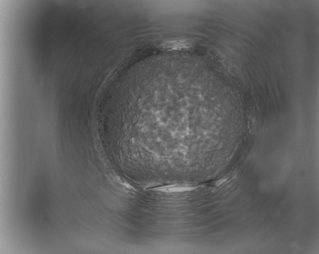 X0000072521393200607290146