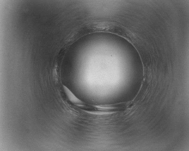 X0000072521394200607290146