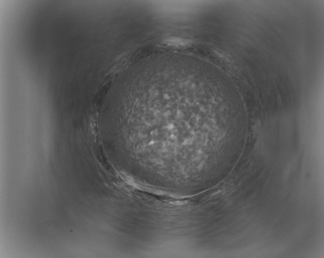 X0000072521397200607290146