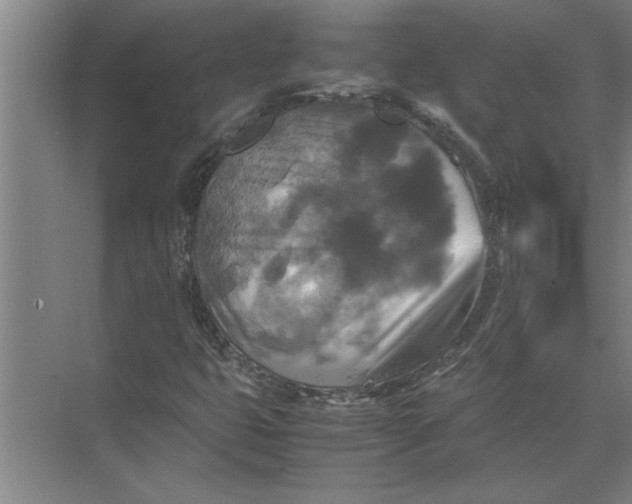 X0000072521399200607290146