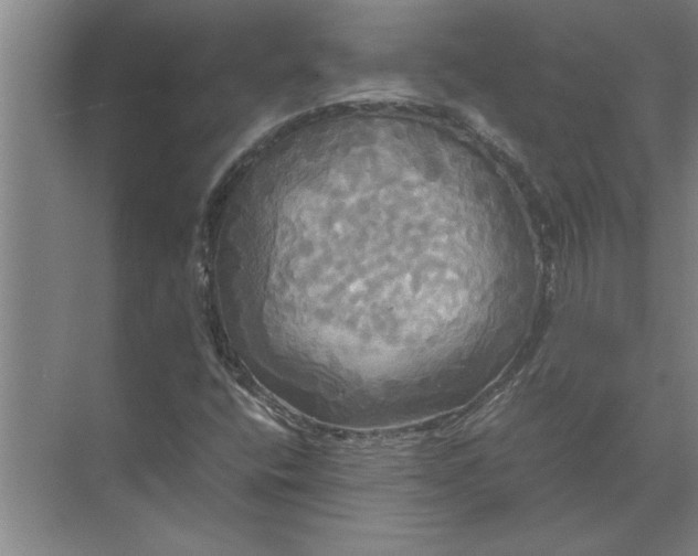 X0000072521400200607290146