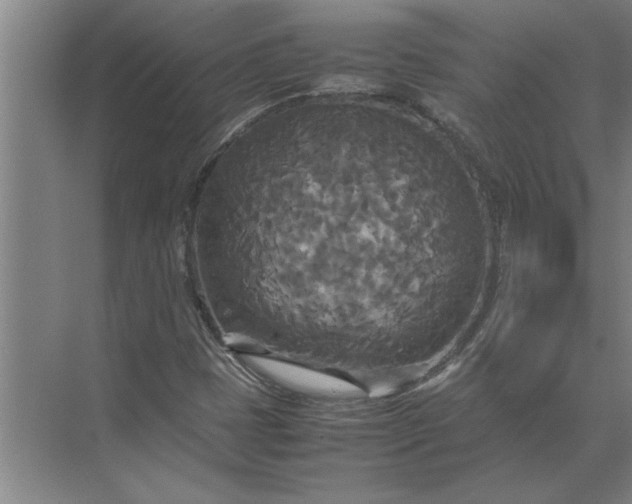 X0000072521401200607290146