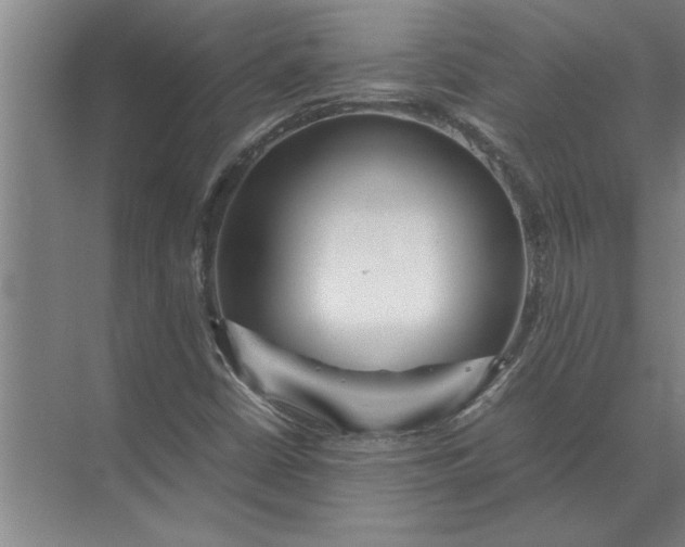 X0000072521402200607290146