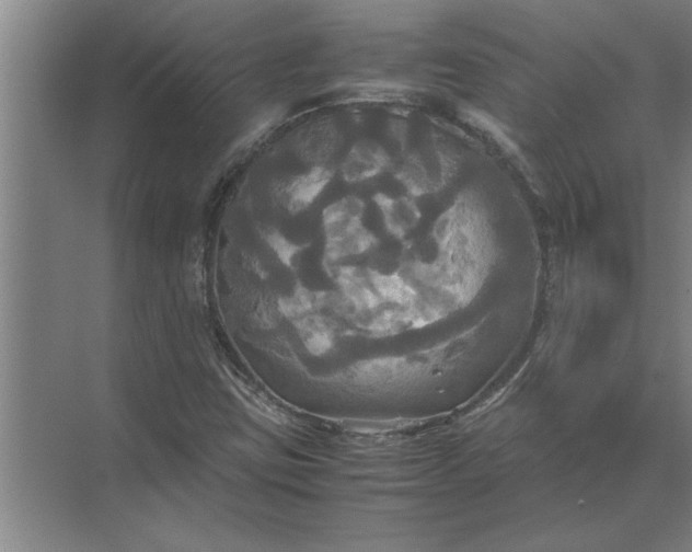 X0000072521403200607290146