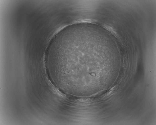 X0000072521404200607290146