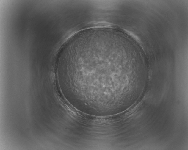 X0000072521407200607290146