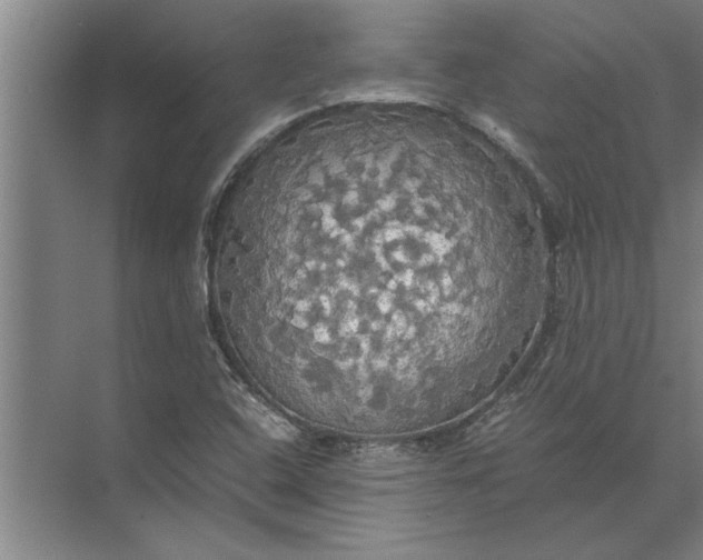 X0000072521408200607290146