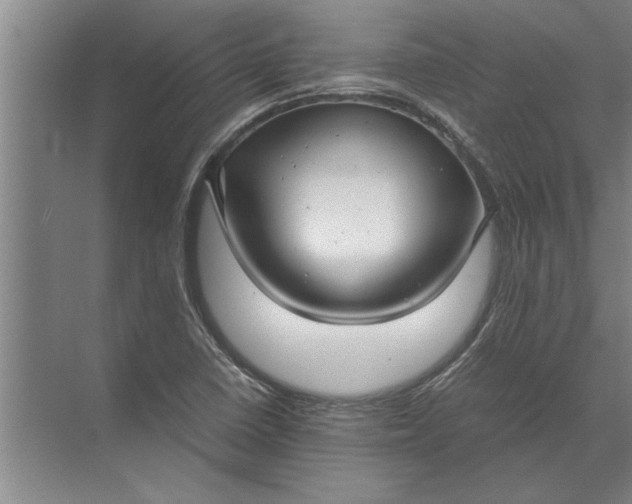 X0000072521410200607290146